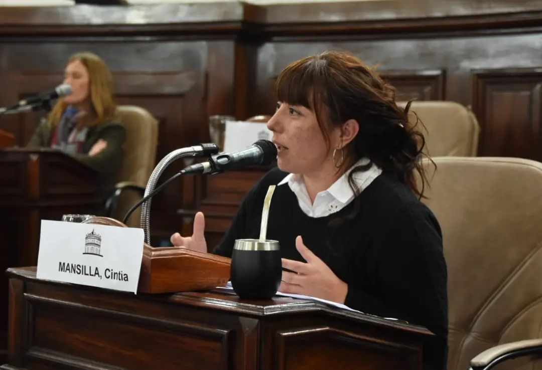 Mansilla: “El problema de la basura es un problema estructural en la ciudad”