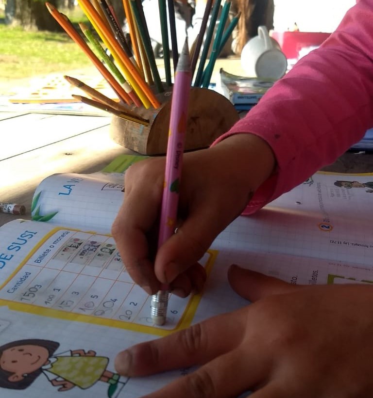 La educación pública a distancia: ¿una educación para todxs?