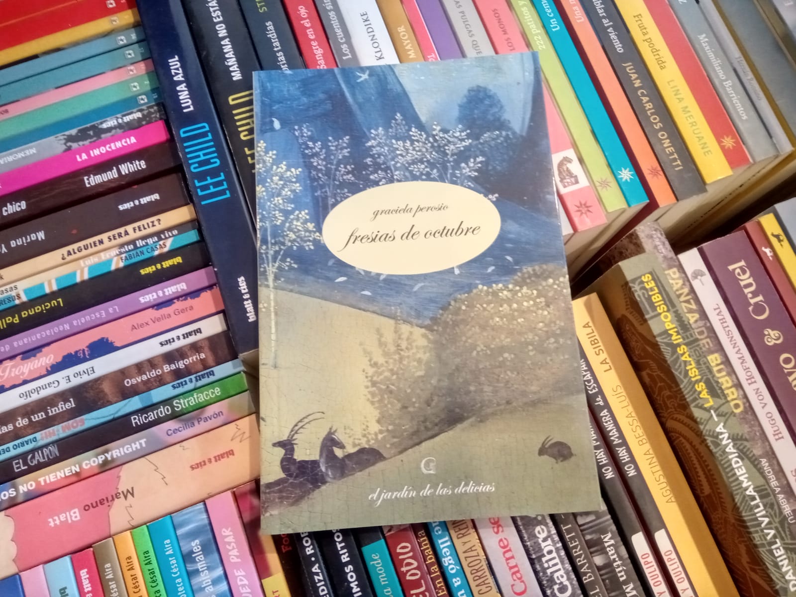 Nadie sabe lo que puede un cuerpo: presentación de Fresias de Octubre