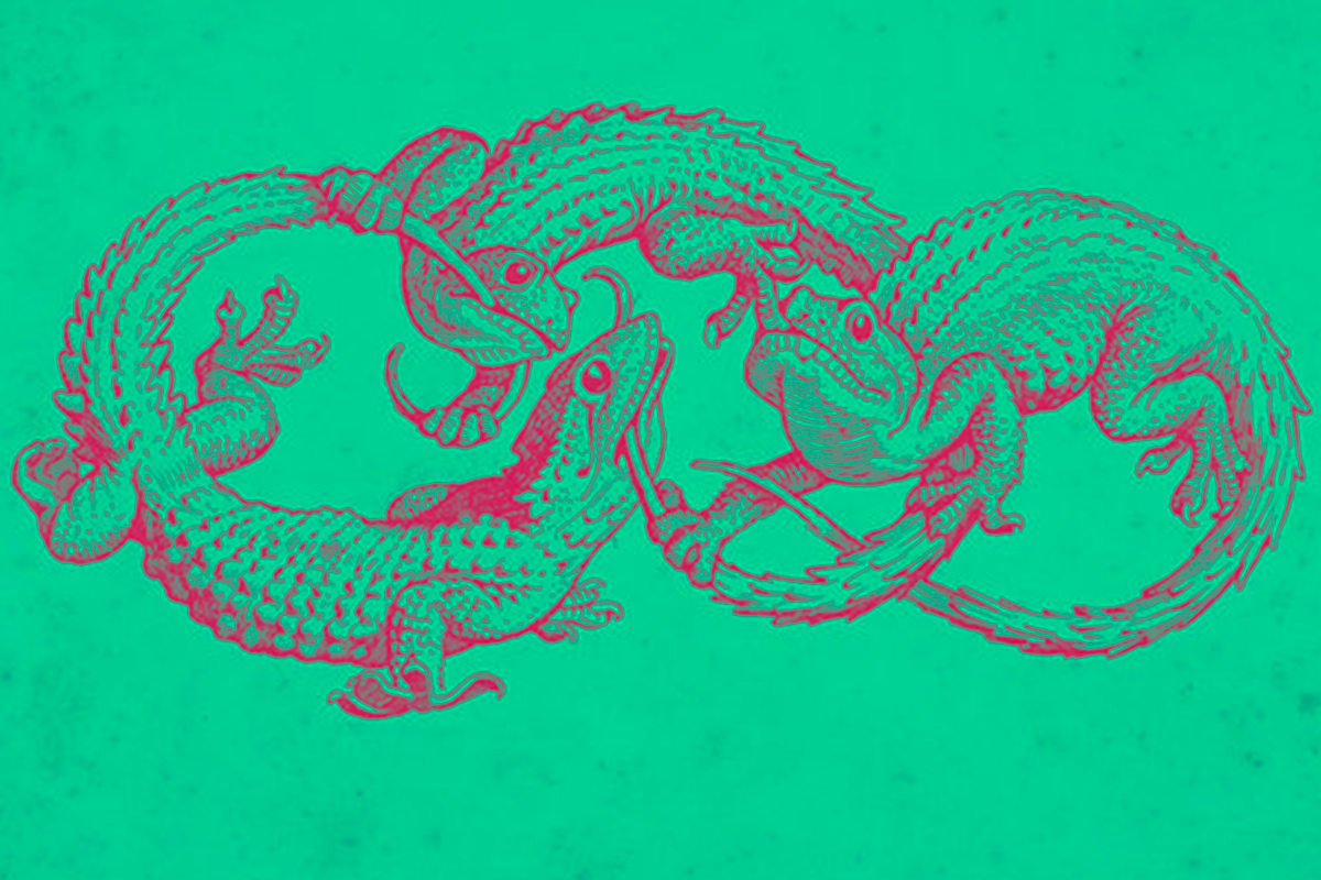 La caricia del lagarto