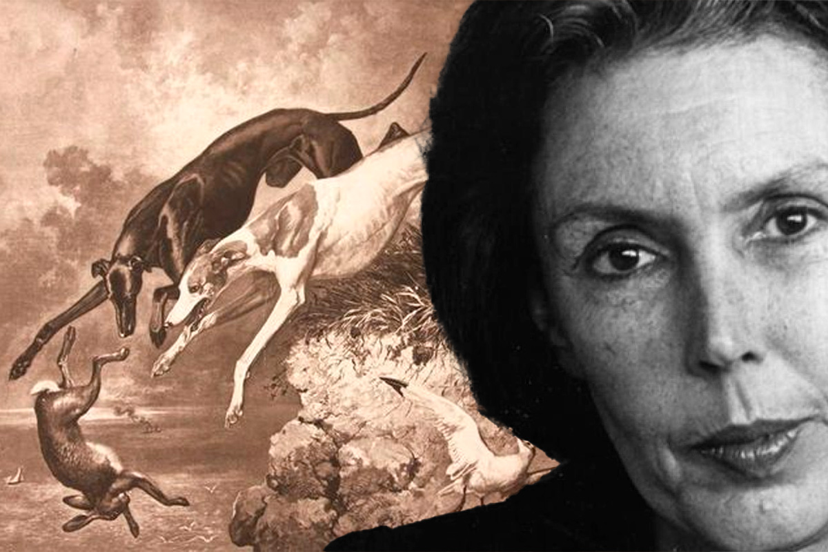 Las vidas que quepan