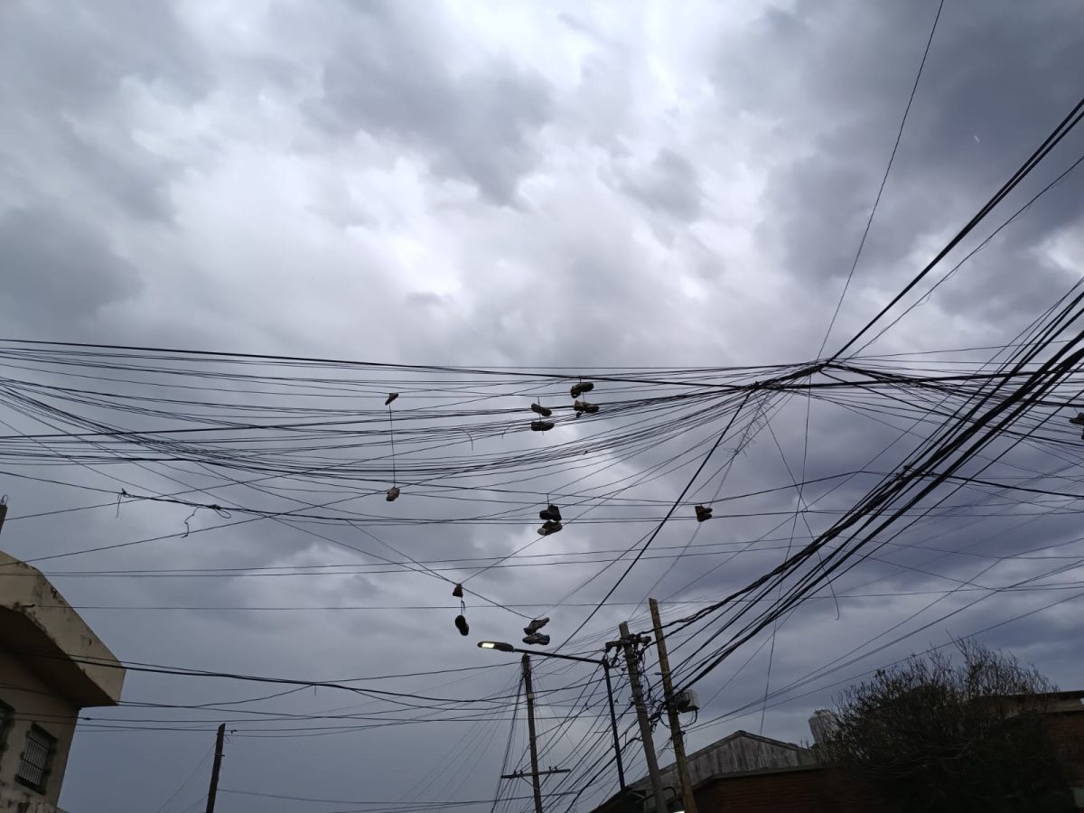 ¡Pero que nadie se espante!