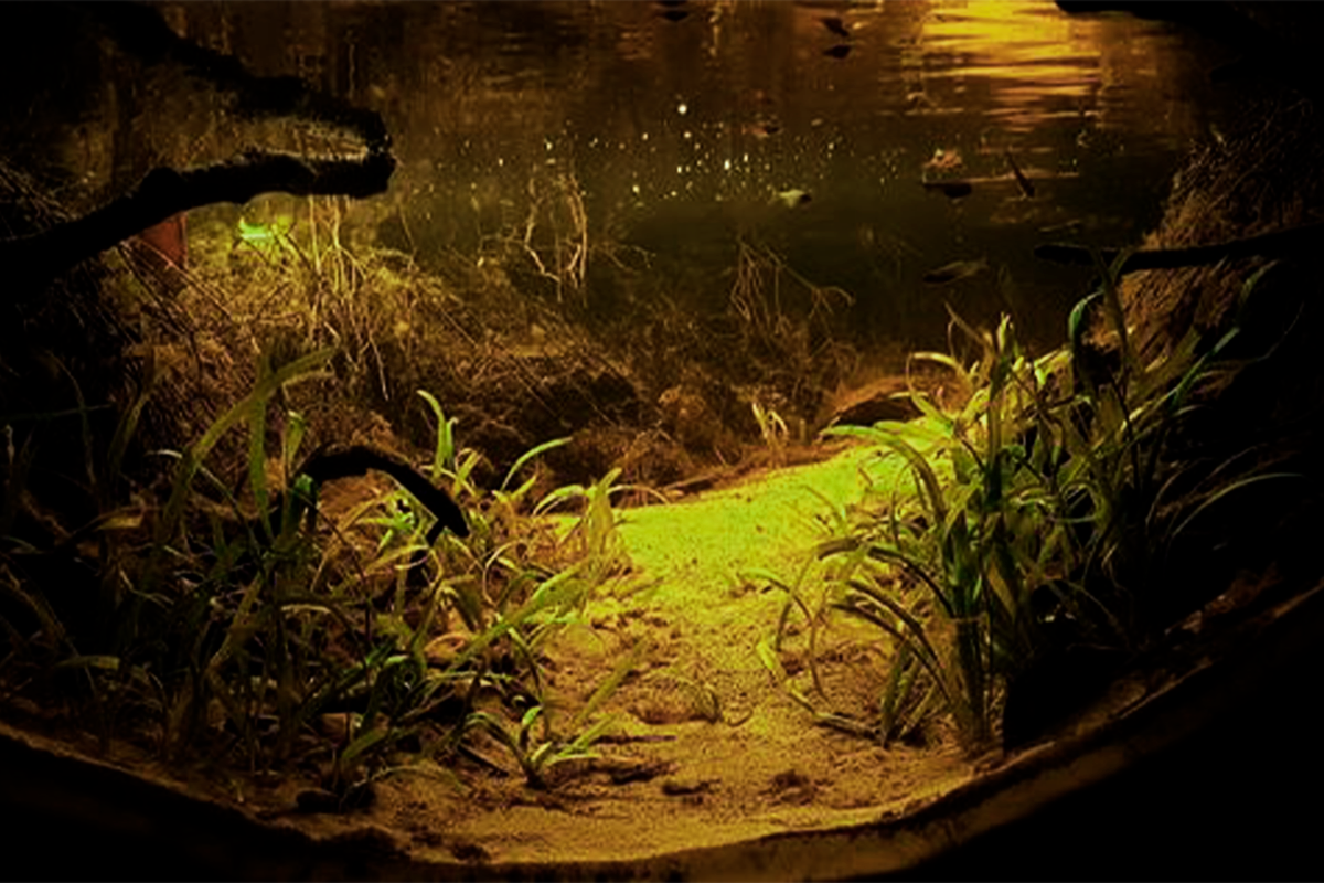 Las últimas fotos en el mar