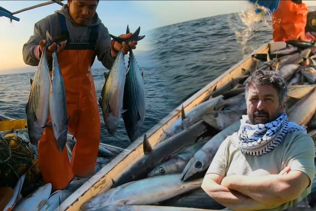 La pesca en Argentina: ¿Deporte o supervivencia? ¿Mercado exportador o herramienta para nutrir el mercado interno?