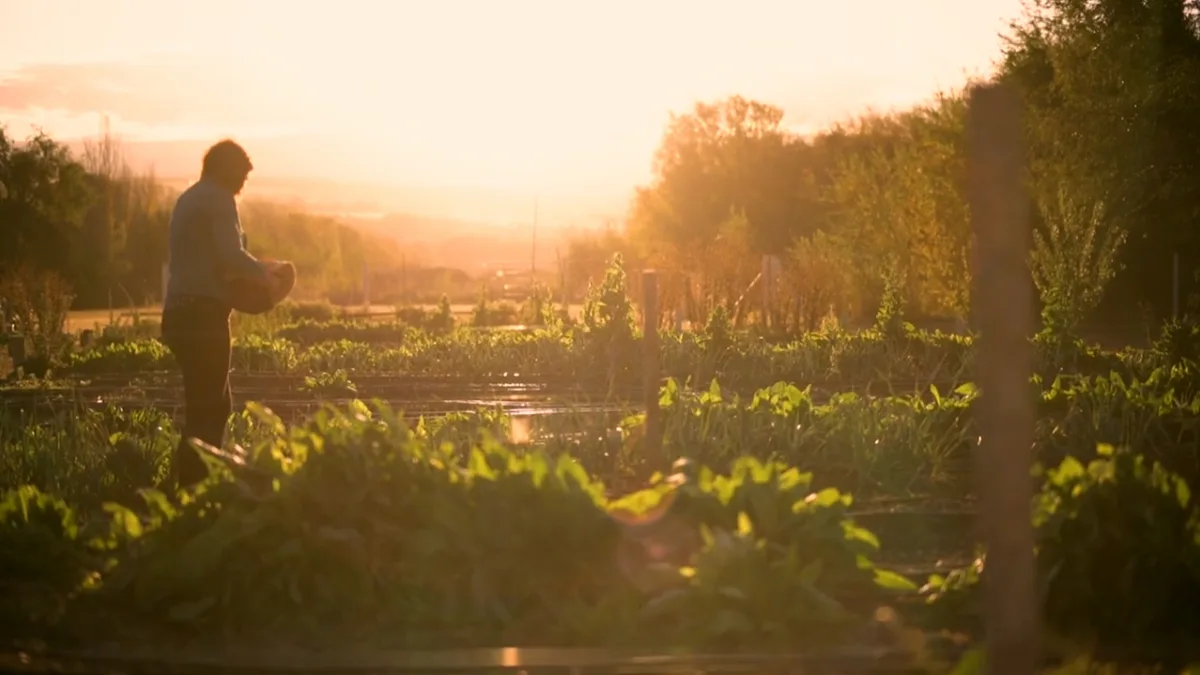 “Tierra, alimento y pueblo: soberanía alimentaria como horizonte frente a la ofensiva neoliberal”.