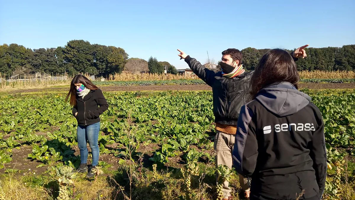 Agroecología en disputa: ¿Técnica productiva o proyecto de país?